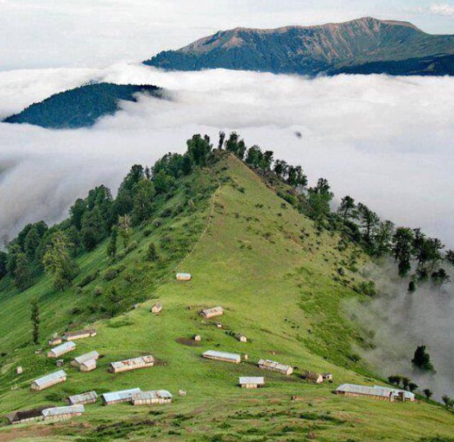 طراحی سایت استان گیلان