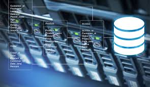 بررسی رابطه های پایگاه داده ها و دستورات آن ها در SQL