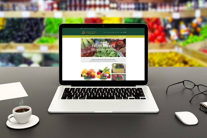 طراحی وب سایت در فرمانیه