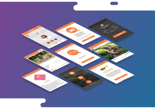 طراحی اپلیکیشن موبایل سریع و ارزان